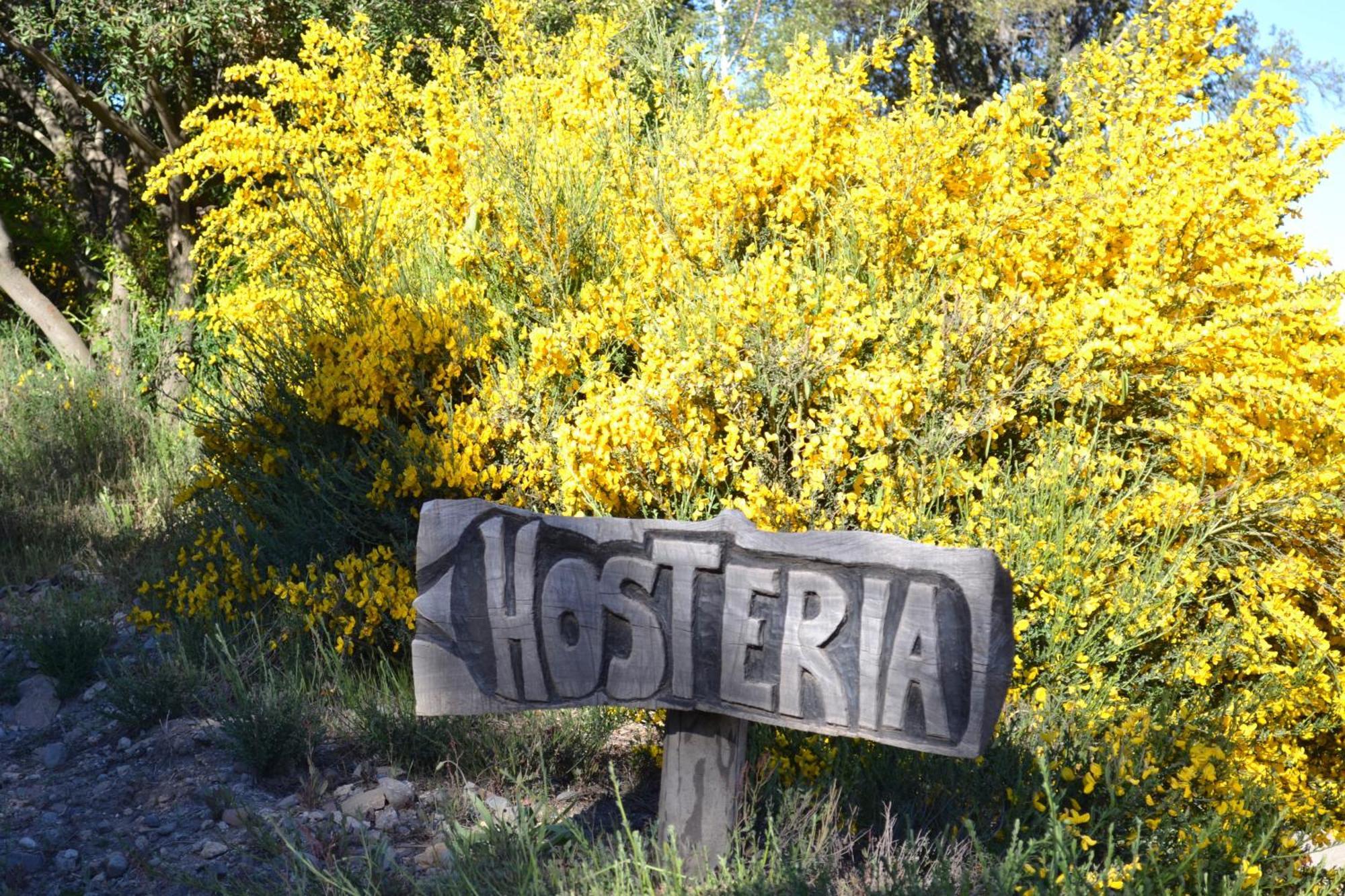 Sieteflores Hosteria De Montaña San Martín de los Andes Buitenkant foto